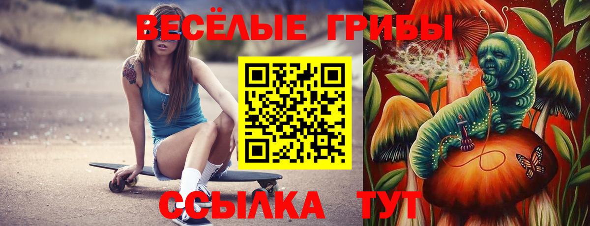 Галлюциногенные грибы прущие грибы  Вход с VPN  Лабинск  Галлюциногенные грибы Psilocybe 